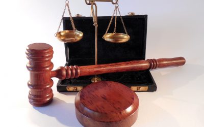 Prawo zamówień publicznych – projekt ustawy