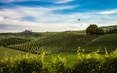 Odrolnienie działki – czym jest? Jaki jest koszt?