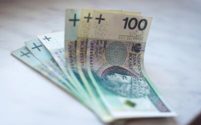Podatek u źródła – podatnik, płatnik, Pay and Refund