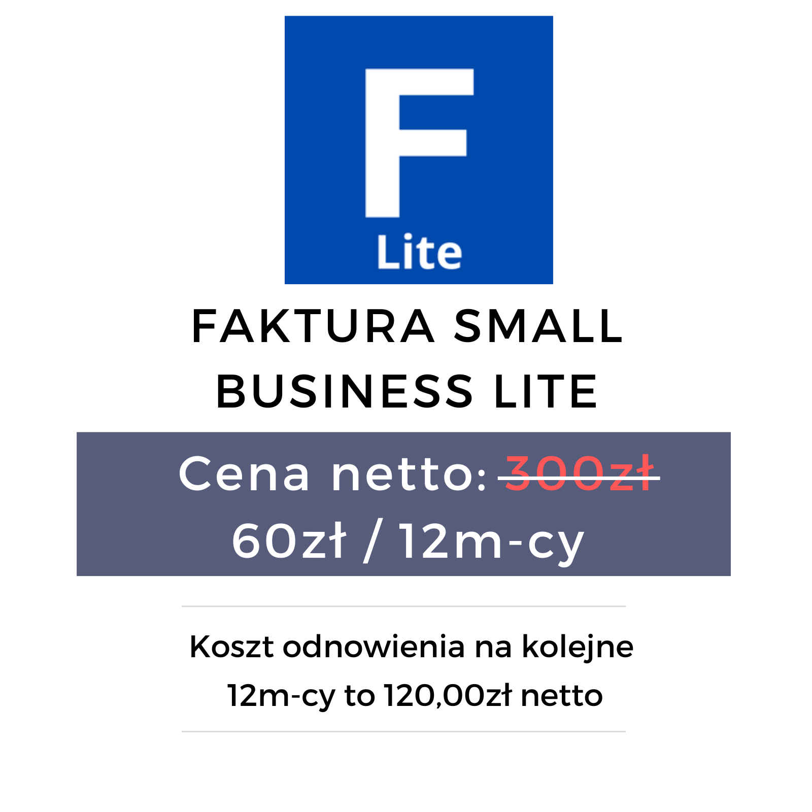 Program do faktur Faktur Small Business Lite Program do faktur Faktur Small Business Lite