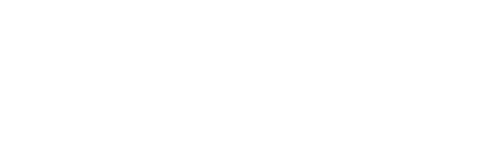 program patnerski