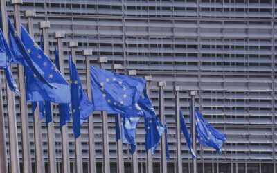 Spółka europejska – charakterystyka, SE w Polsce